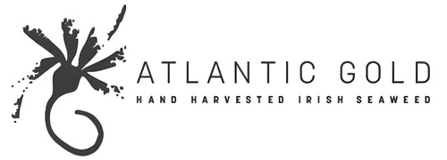 Atlantic Gold Beauty